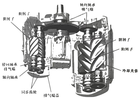 干式无油螺杆空压机原理和结构